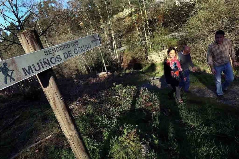 Parque forestal San Cibrán-Os Muíños de Couso.