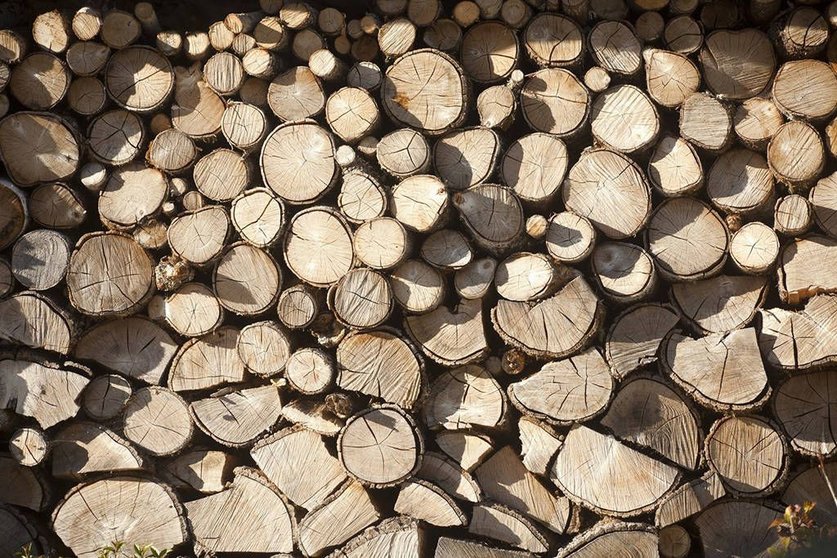El DOG publica hoy la orden que regula esta tramitación electrónica que tiene por objetivo facilitar la gestión de la venta de madera