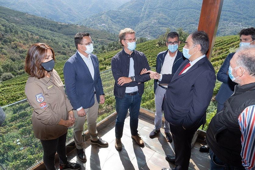Feijóo reitera el compromiso de la Xunta con el sector vitivinícola gallego y destaca la calidad de la uva cosechada en esta vendimia.