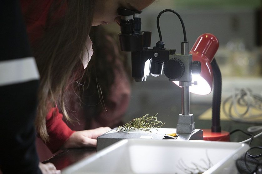 Tomarán parte en esta iniciativa este curso un total de 117 centros educativos de toda Galicia.