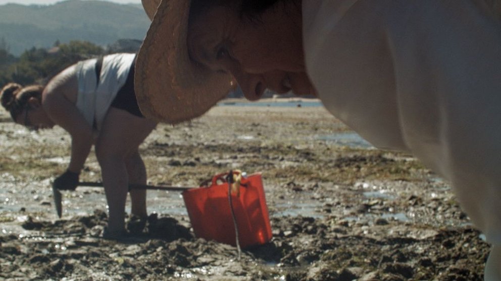 Imagen del corto documental de laa cineasta Diana Toucedo sobre el marisqueo en la ensenada de San Simón.