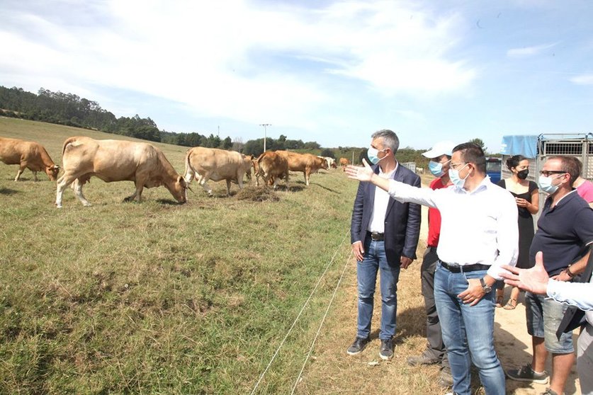 El conselleiro del Medio Rural visitó este domingo el mercado de Ribadeo y una explotación de vacuno de carne.