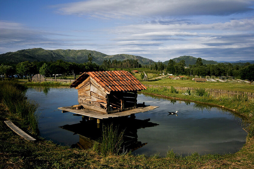 Quinta de Pentieiros. JOSÉ ANTUNES.