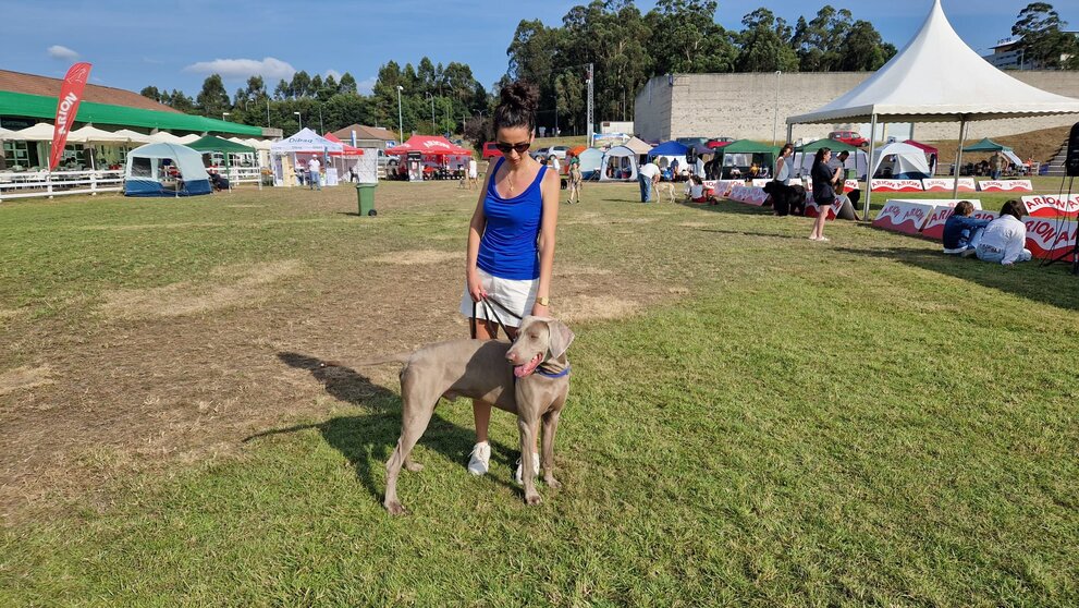 Participante na 105ª Exposición Nacional Canina Feira Internacional de Galicia ABANCA.