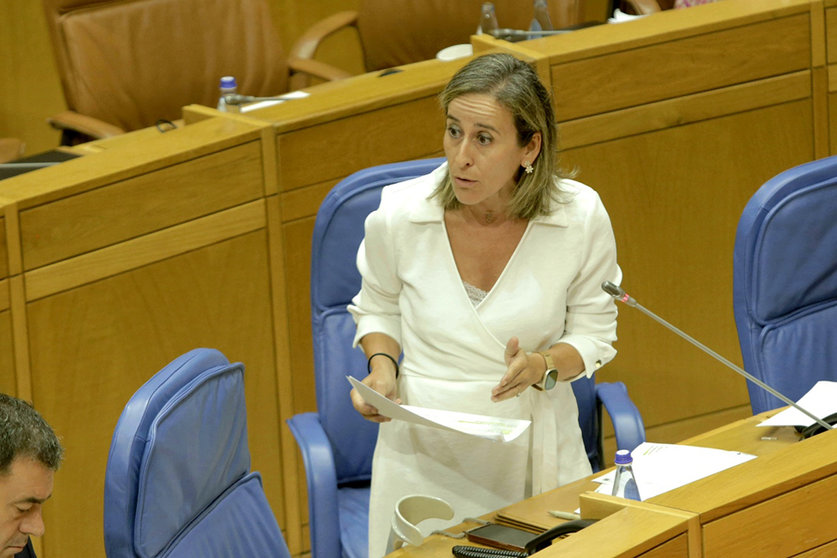 Vázquez Mourelle se refirió hoy en el Parlamento autonómico al encuentro de ayer del Comisionado para el Corredor Atlántico de Mercancías con los representantes del empresariado gallego que, indicó, sirvió para constatar, una vez más, la falta de implicación y compromiso del Gobierno de España con un proyecto estratégico para incrementar las capacidades logísticas y la competitividad económica y empresarial de Galicia.