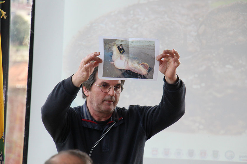 El biólogo y director del Aquamuseu, Museo del Agua, de Cerveria identifica a uno de los principales depredadores de lamprea. Un pez exótico de más de 100 kilogramos de peso, muy preciado como presa de furtivos, que debora lampreas.