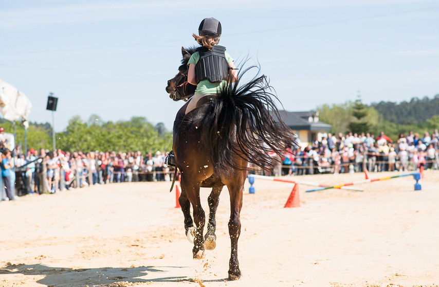 Caballos, diversión y tradiciónm en la Xuntanza Cabalar de Tui.