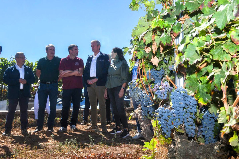 El presidente de la Xunta visitó Bodegas Ladairo en Oímbra.