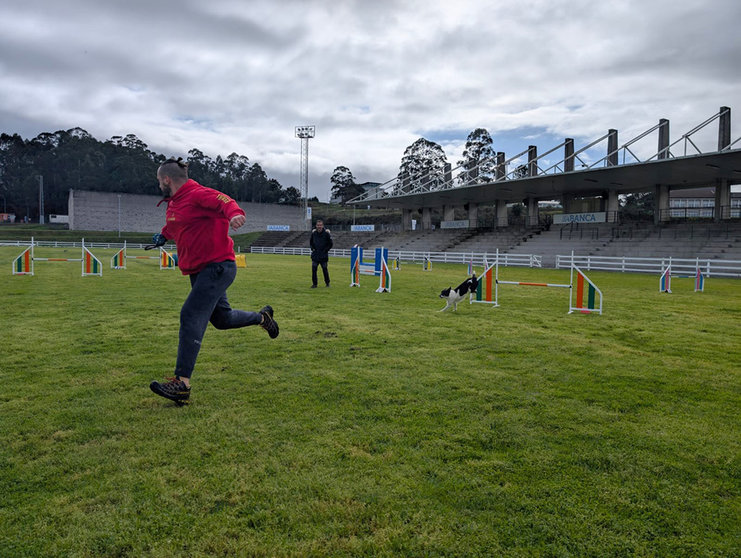 Perros y humanos ponen a prueba sus habilidades en el ring de agility.