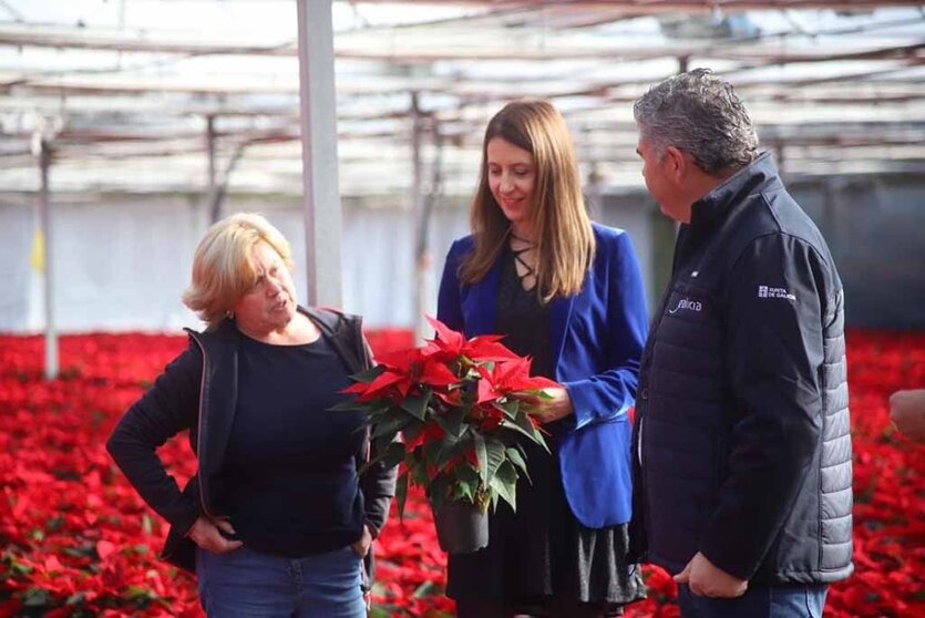 La conselleira María José Gómez visitó este mediodía Viveros Compostela.