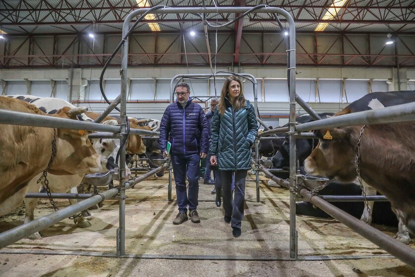 La conselleira María José Gómez asistió a la segunda subasta de ganado realizada este año en esta Central.