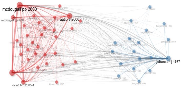 Se construyó la red de citas utilizando la función de estructura intelectual de la herramienta Bibliometrix. Se identificaron las dos subáreas con más resultados de investigación.