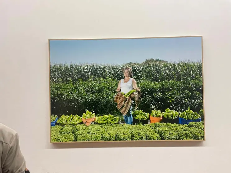 As mulleres rosaleiras, protagonistas da exposición de Mar Caldas no Centro Galego de Arte Contemporánea.