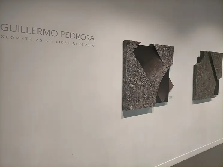 Obra de Guillermo Pedrosa.